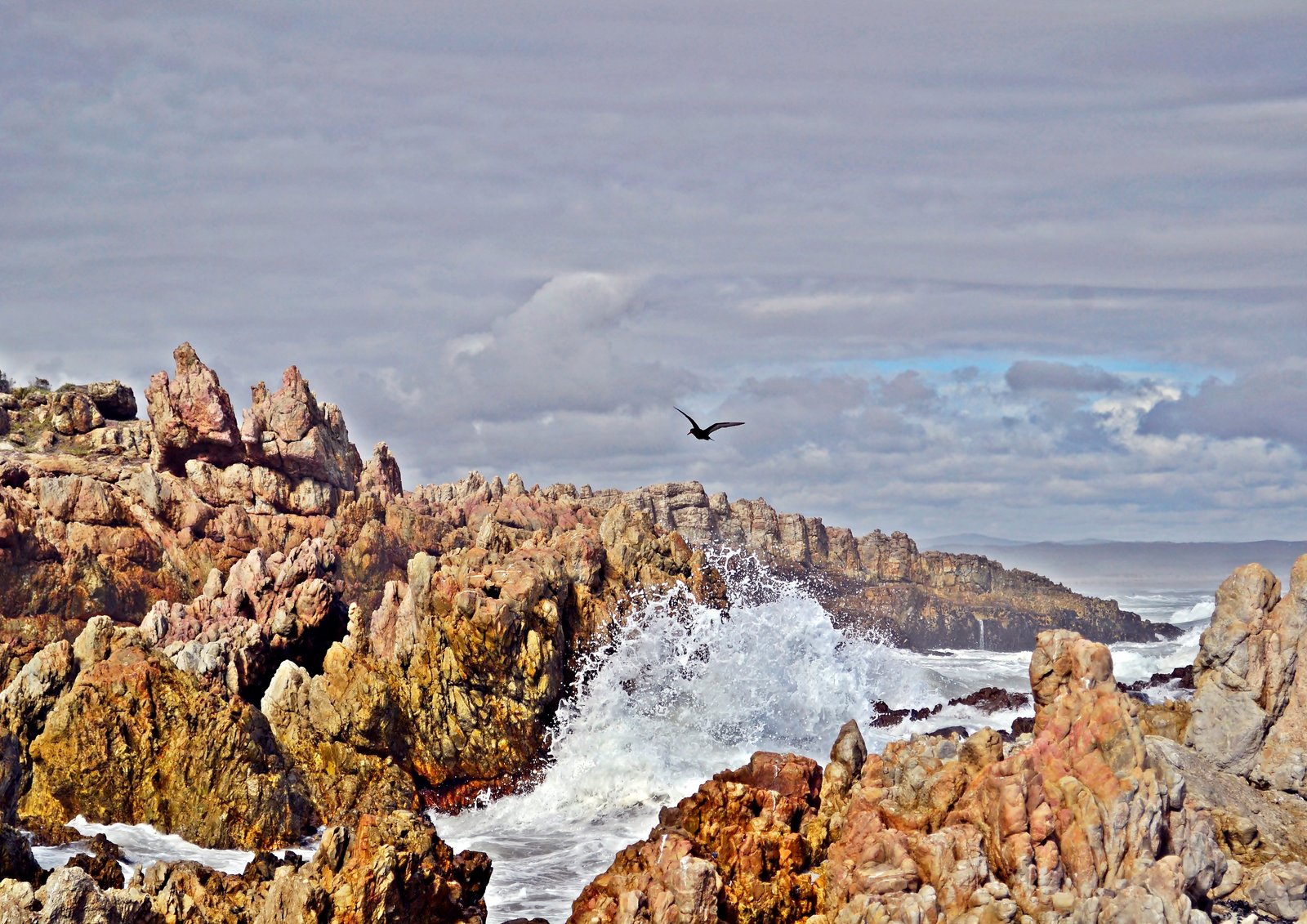 Lone flight