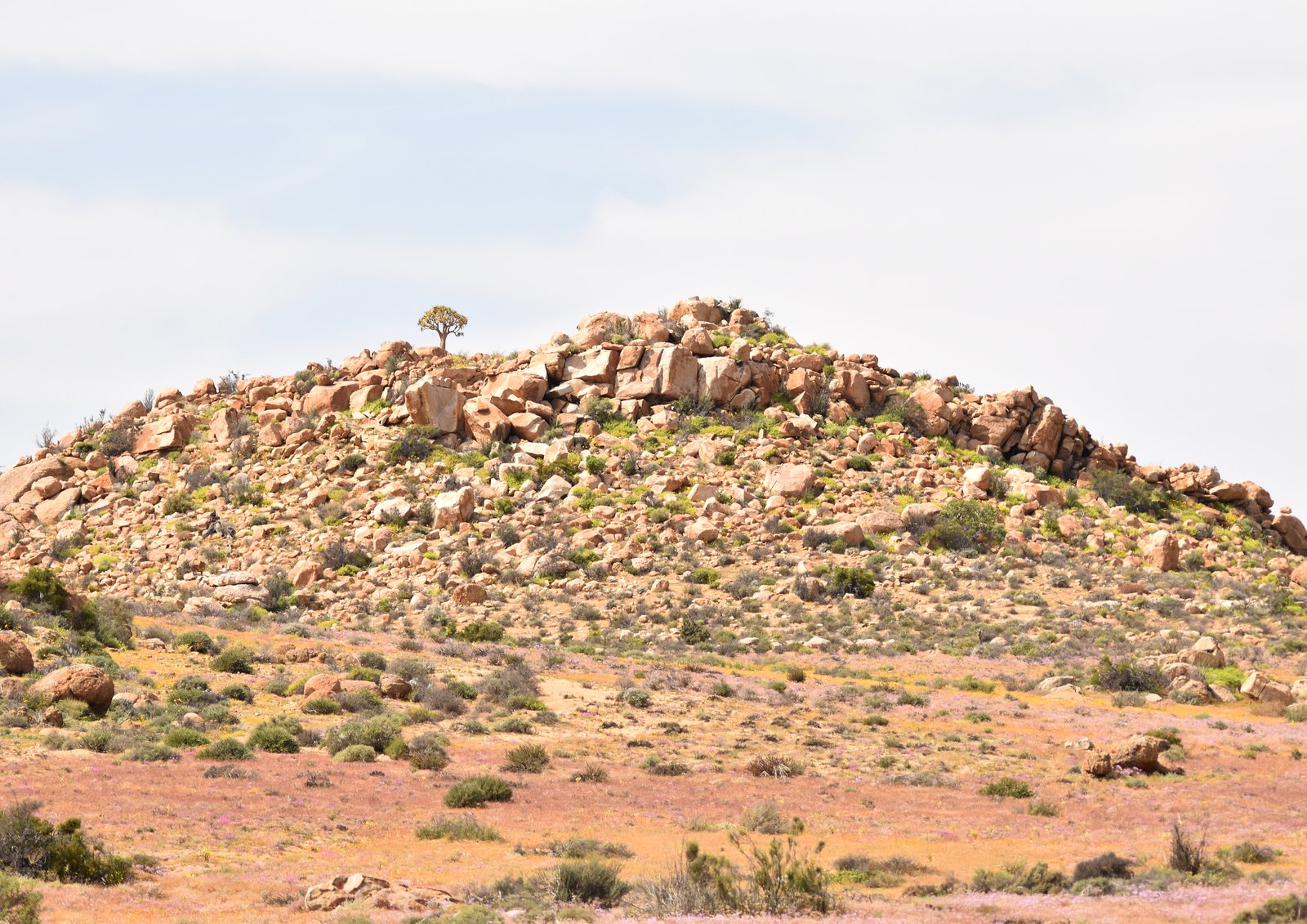 Rocky Outcrop