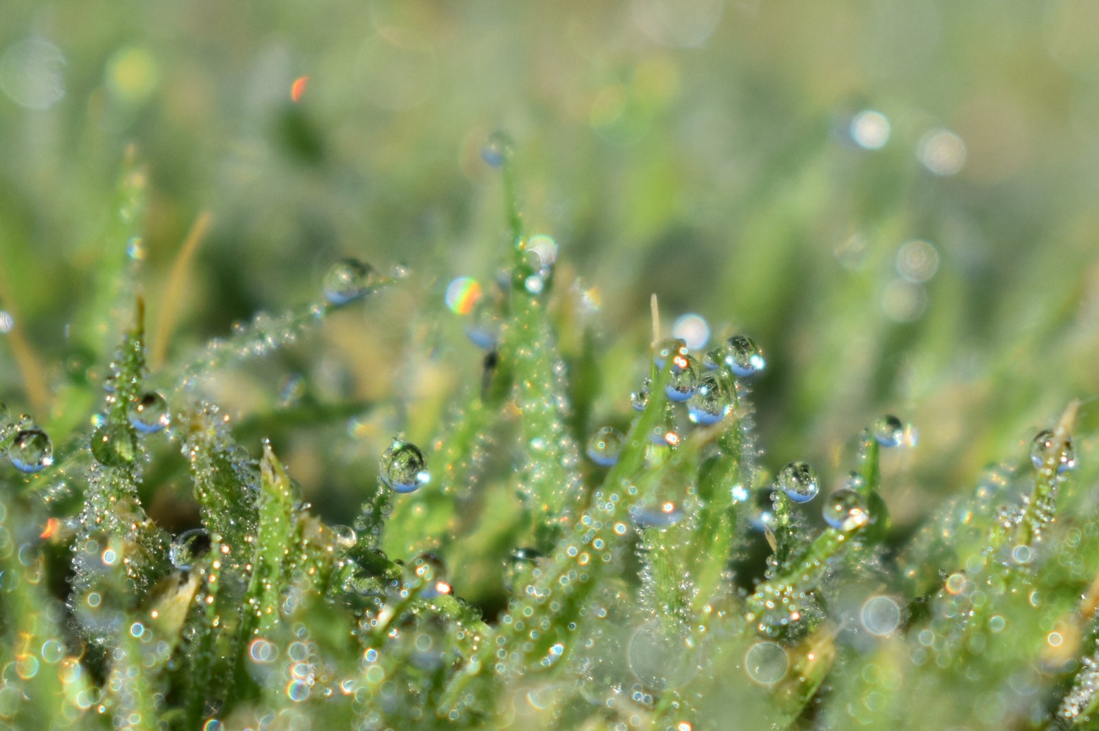 Rainbow droplets