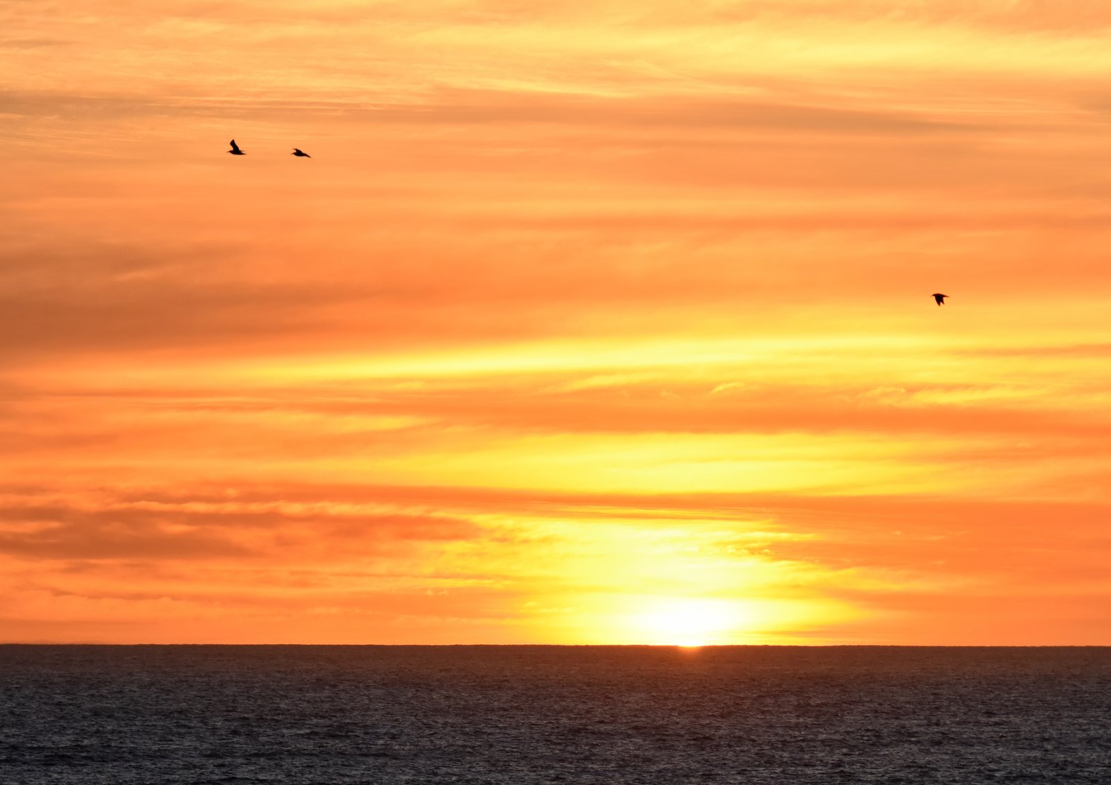 Burning sky