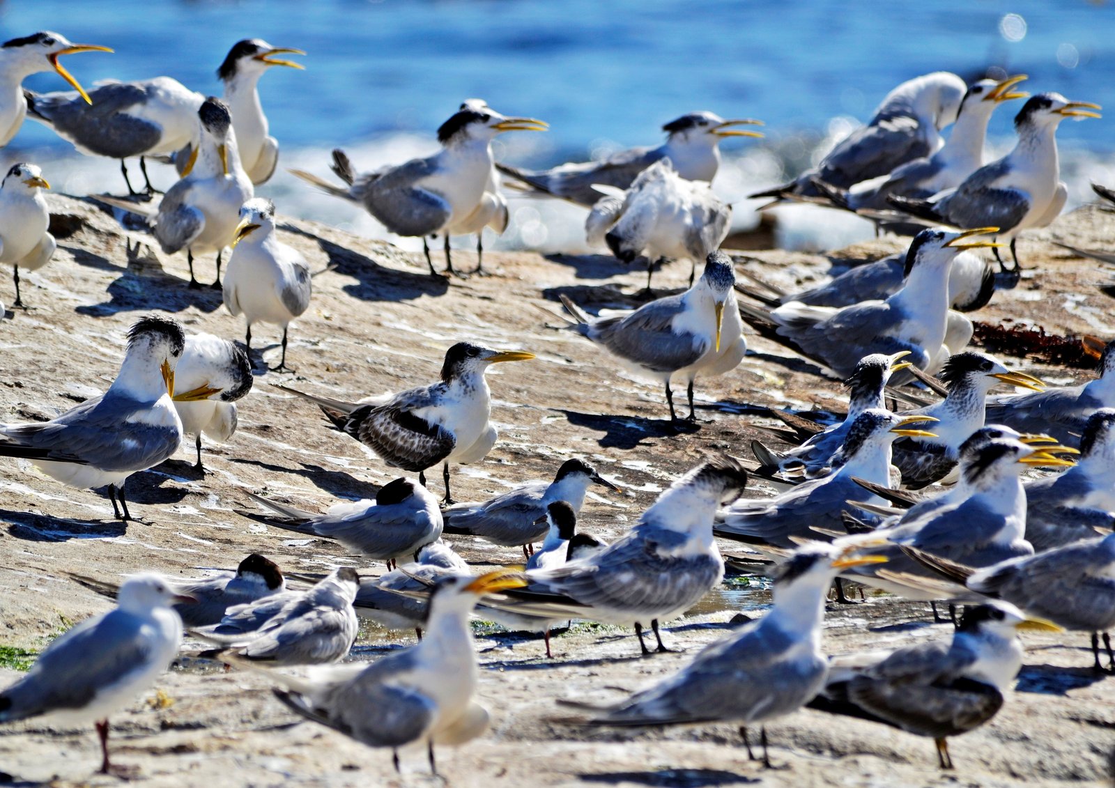 A little crowdy