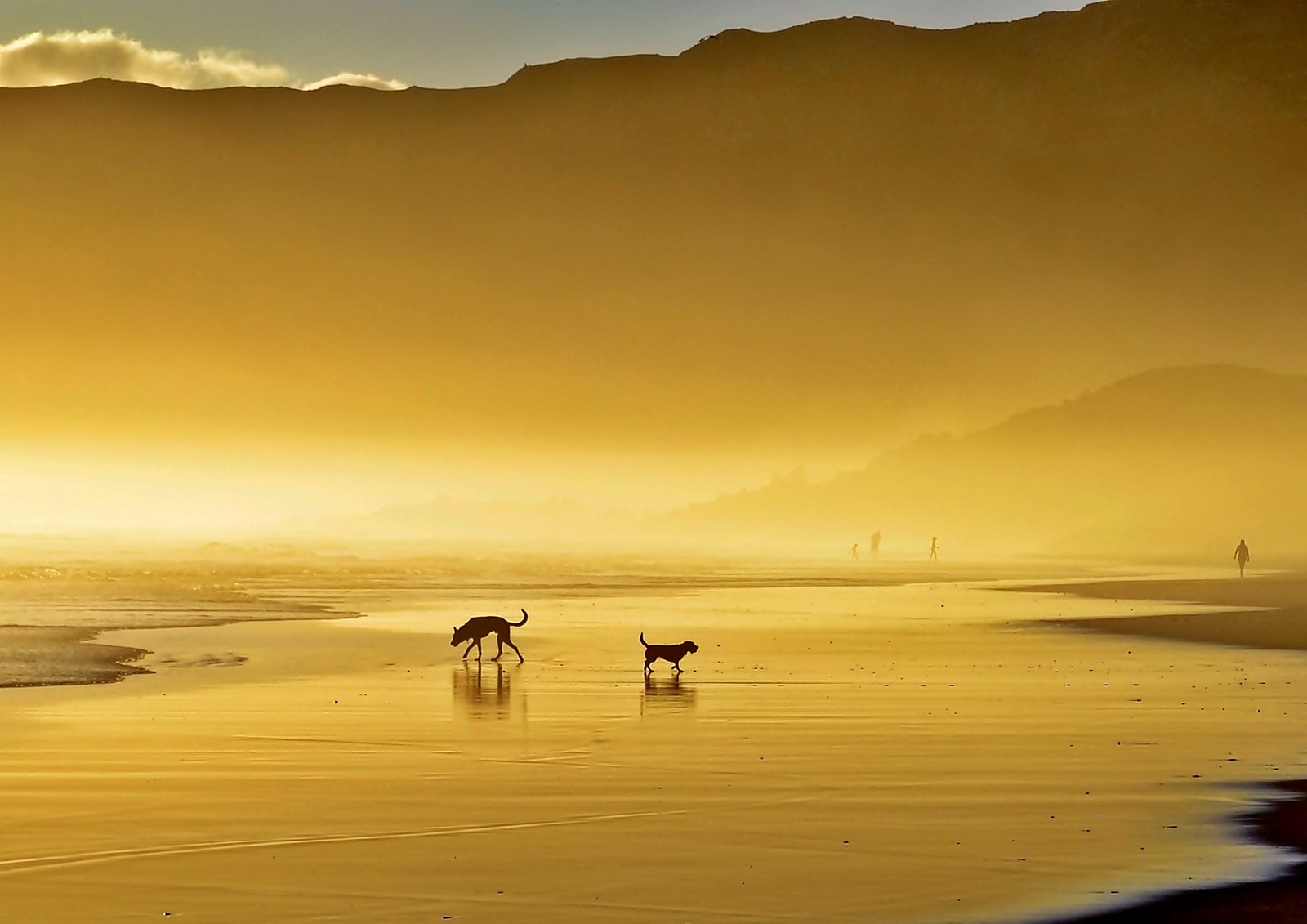Golden beach