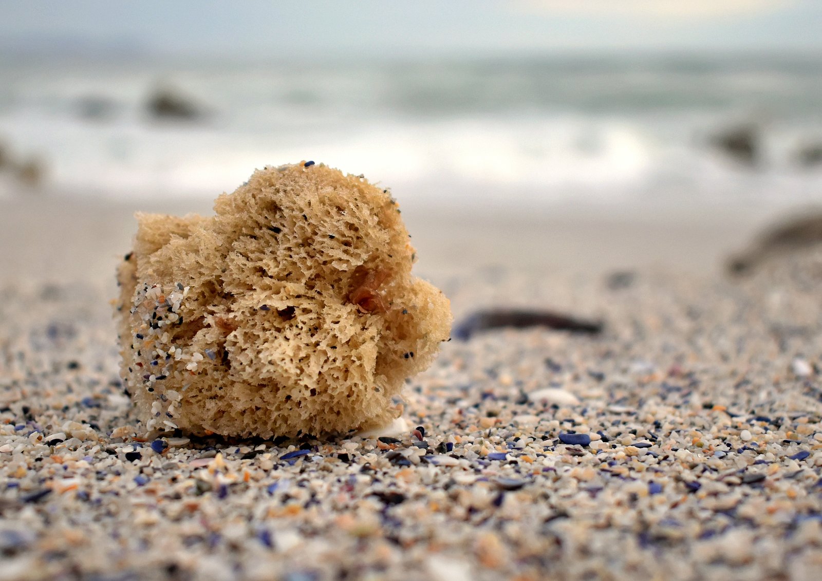 Beach finds