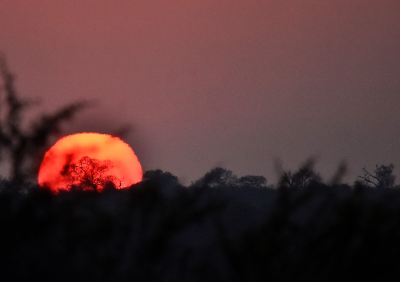 Sunrise Silhouttes
