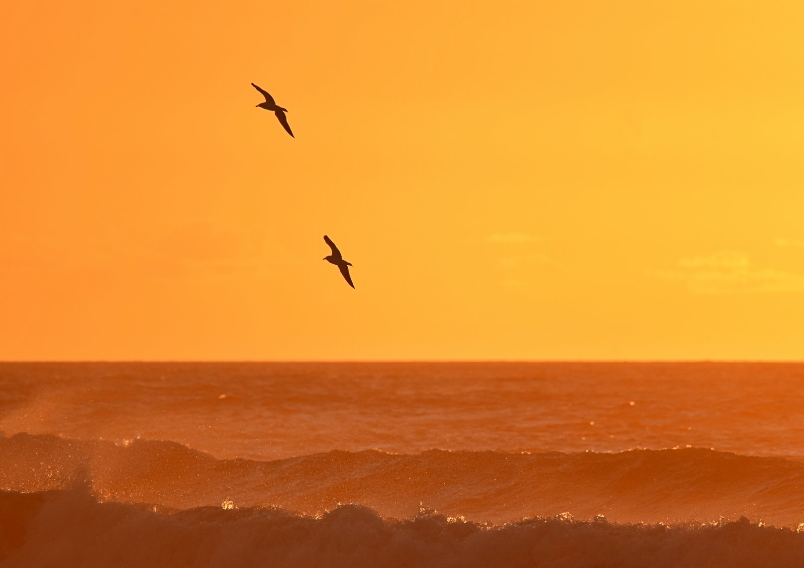 Sunset flight