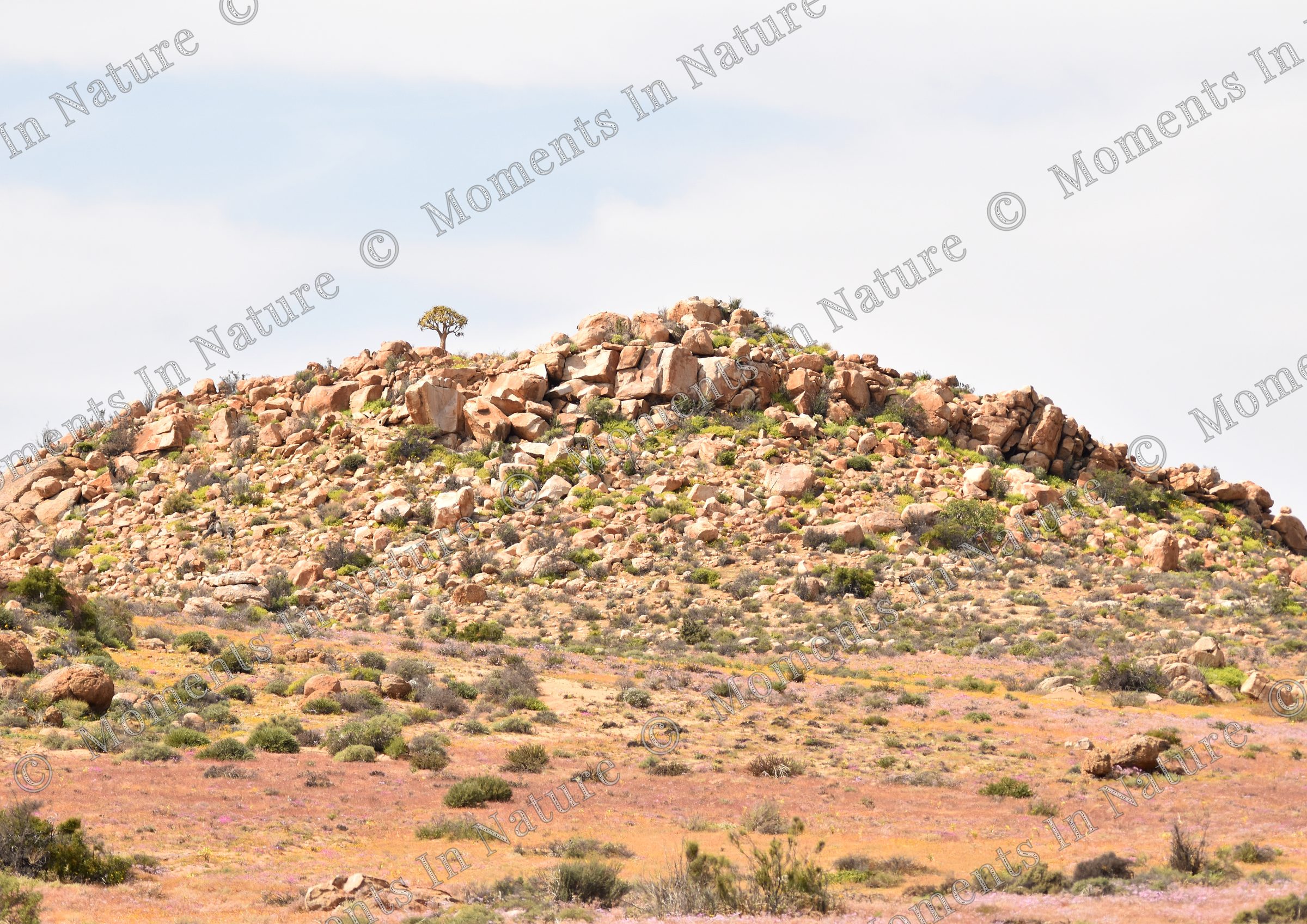 Rocky Outcrop