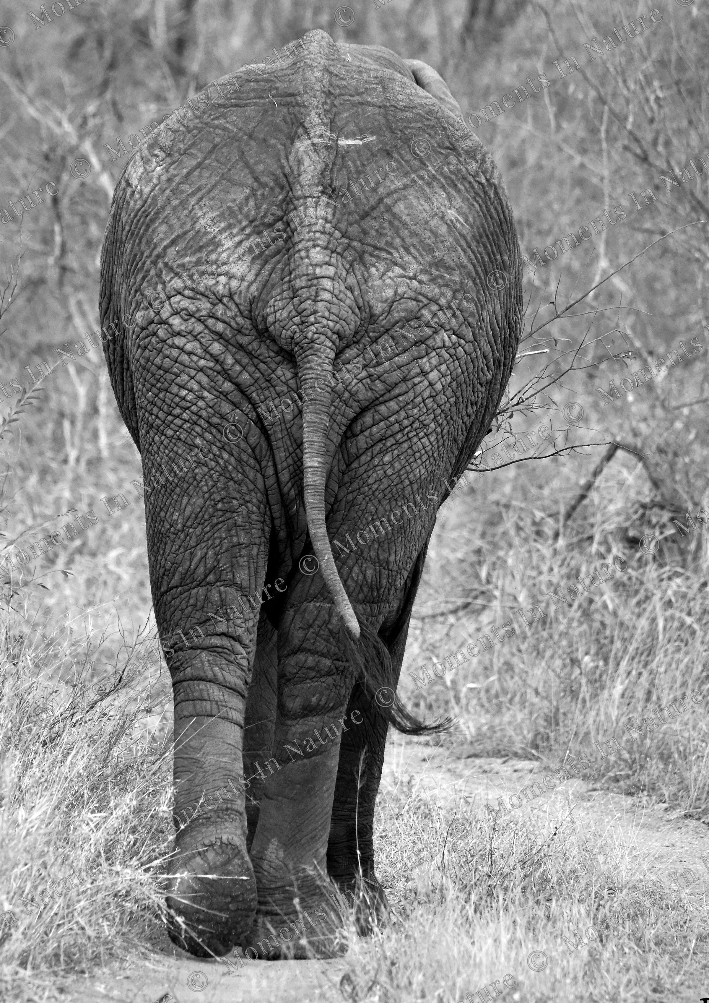 Walking away