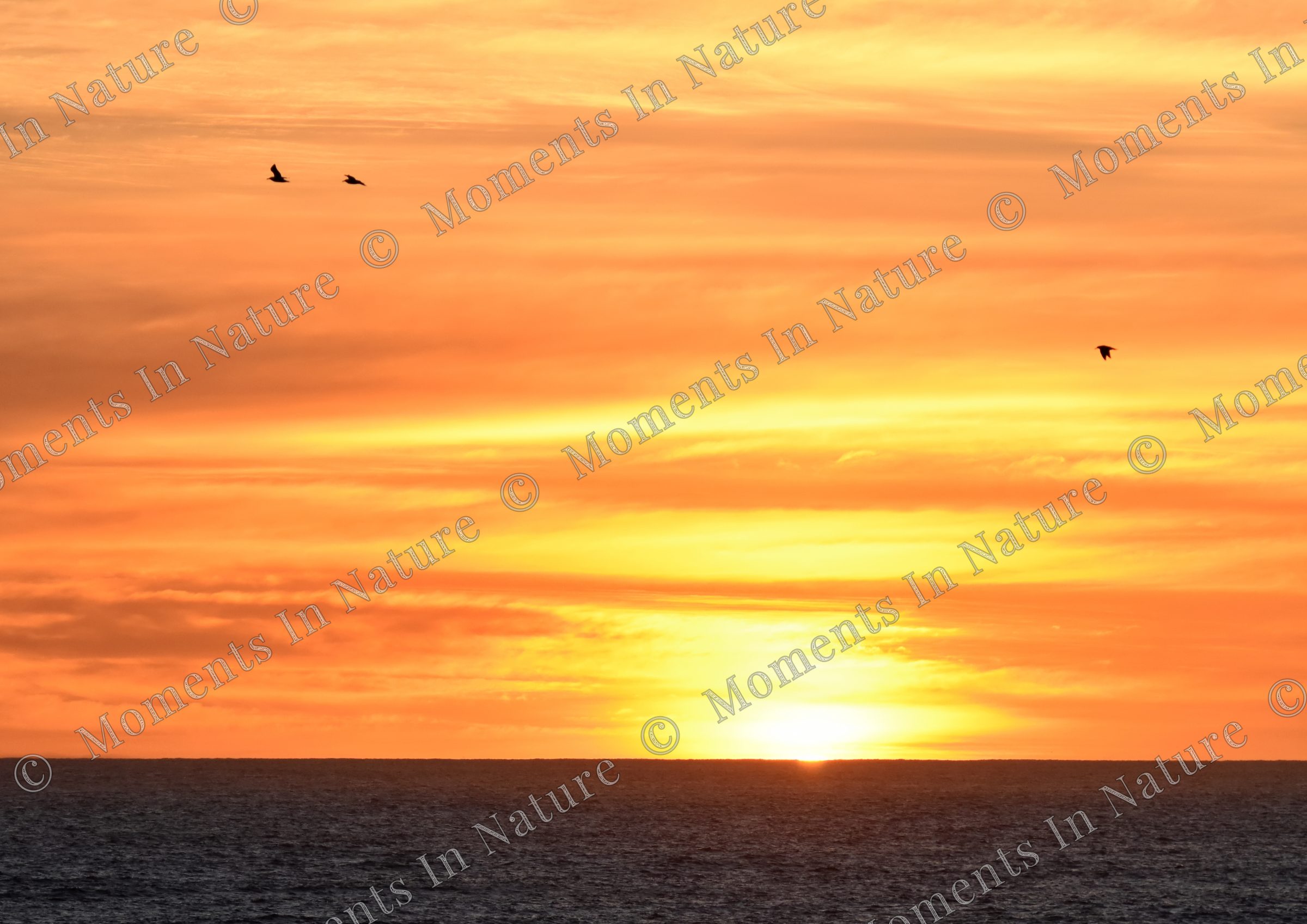 Burning sky