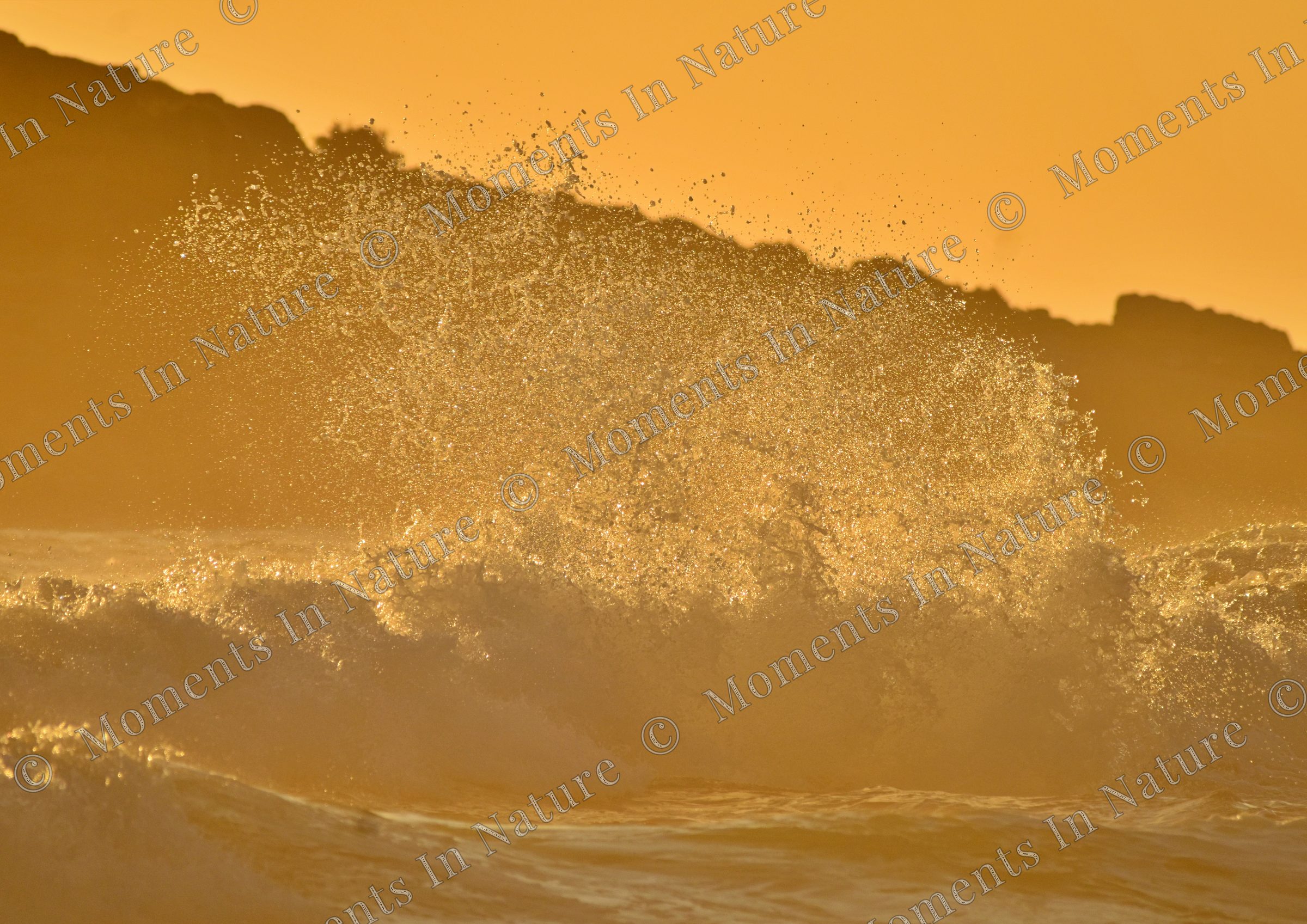 Sunkissed splash