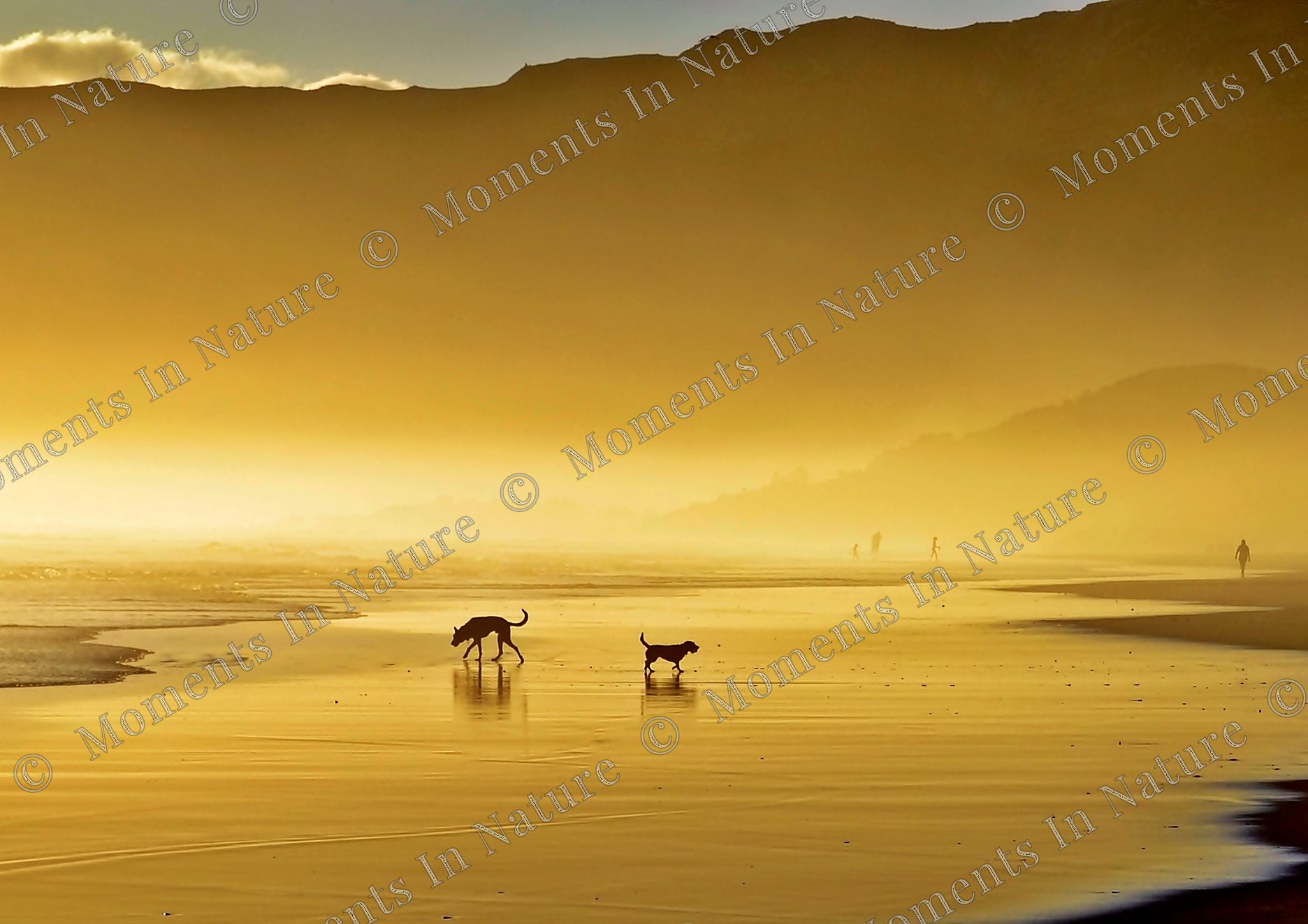 Golden beach