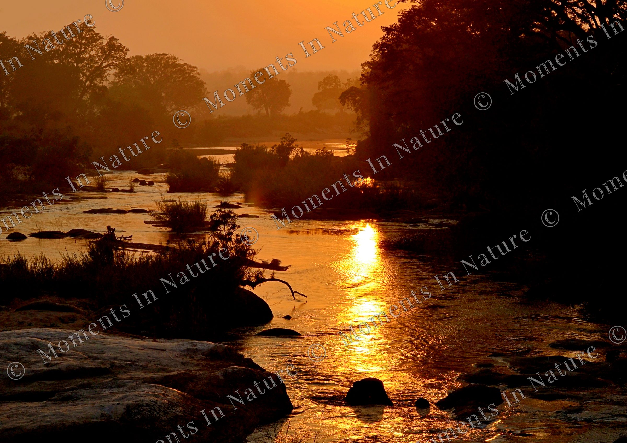 Sunrise river