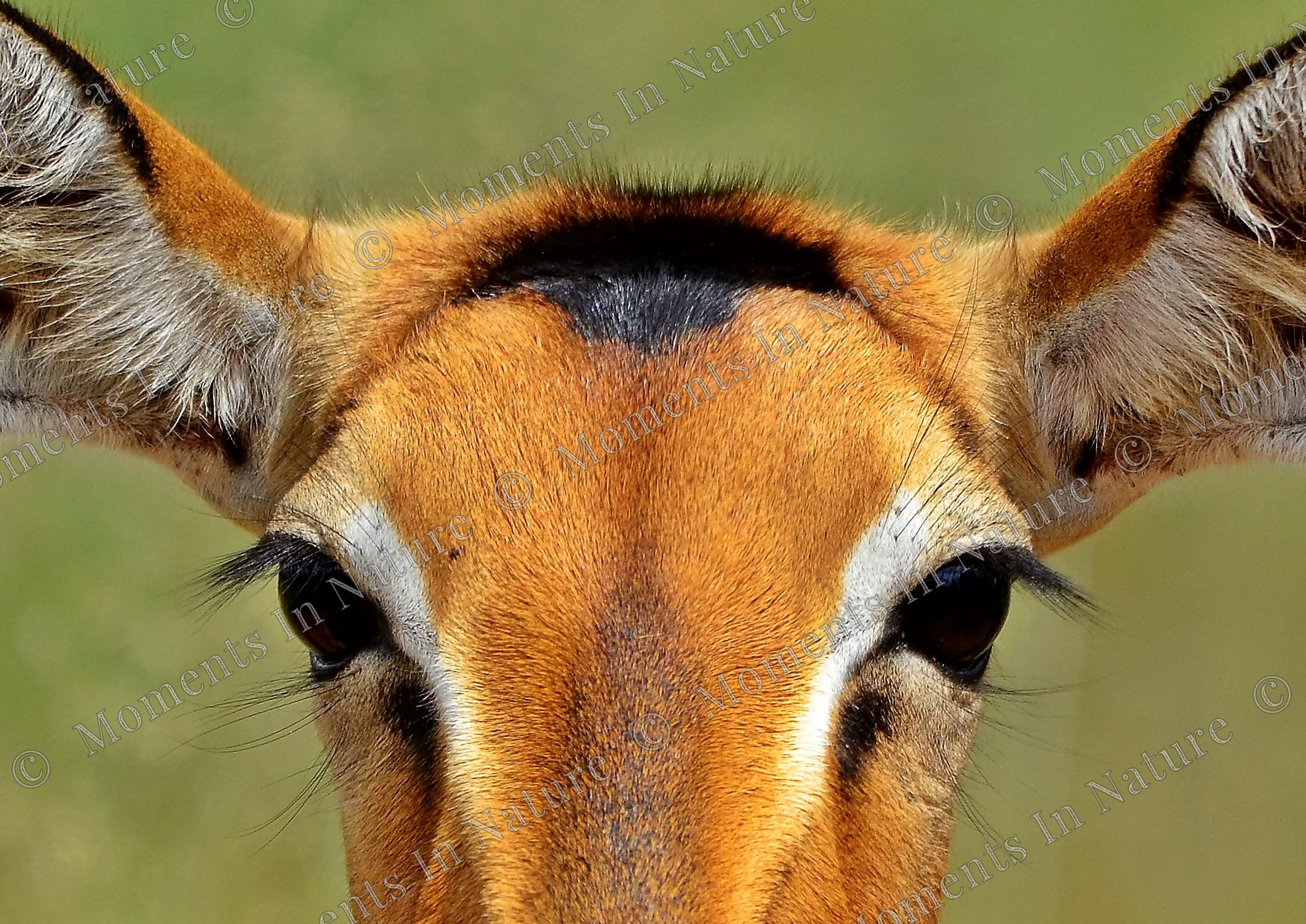 Up close and personal