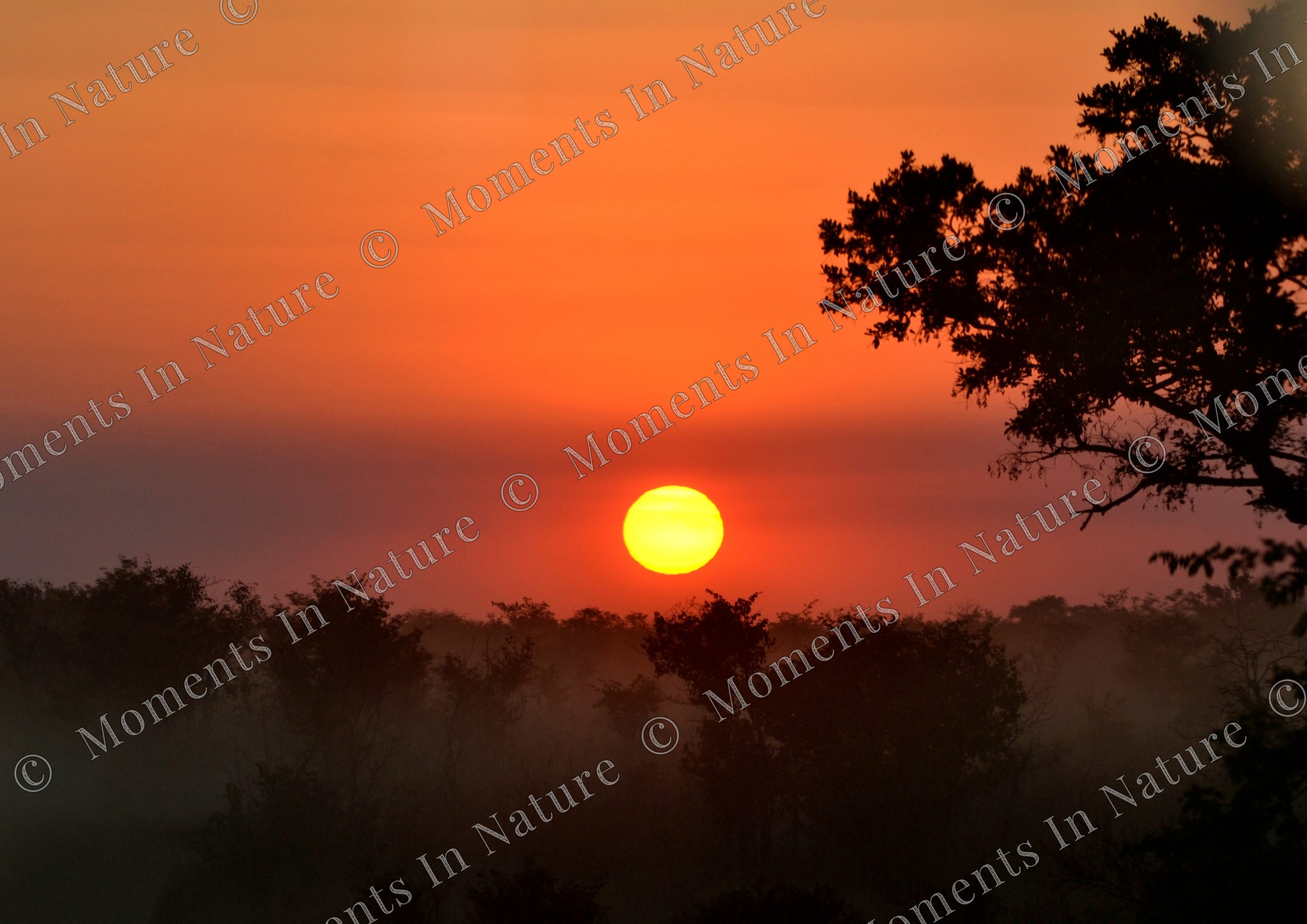 Dusty sunset