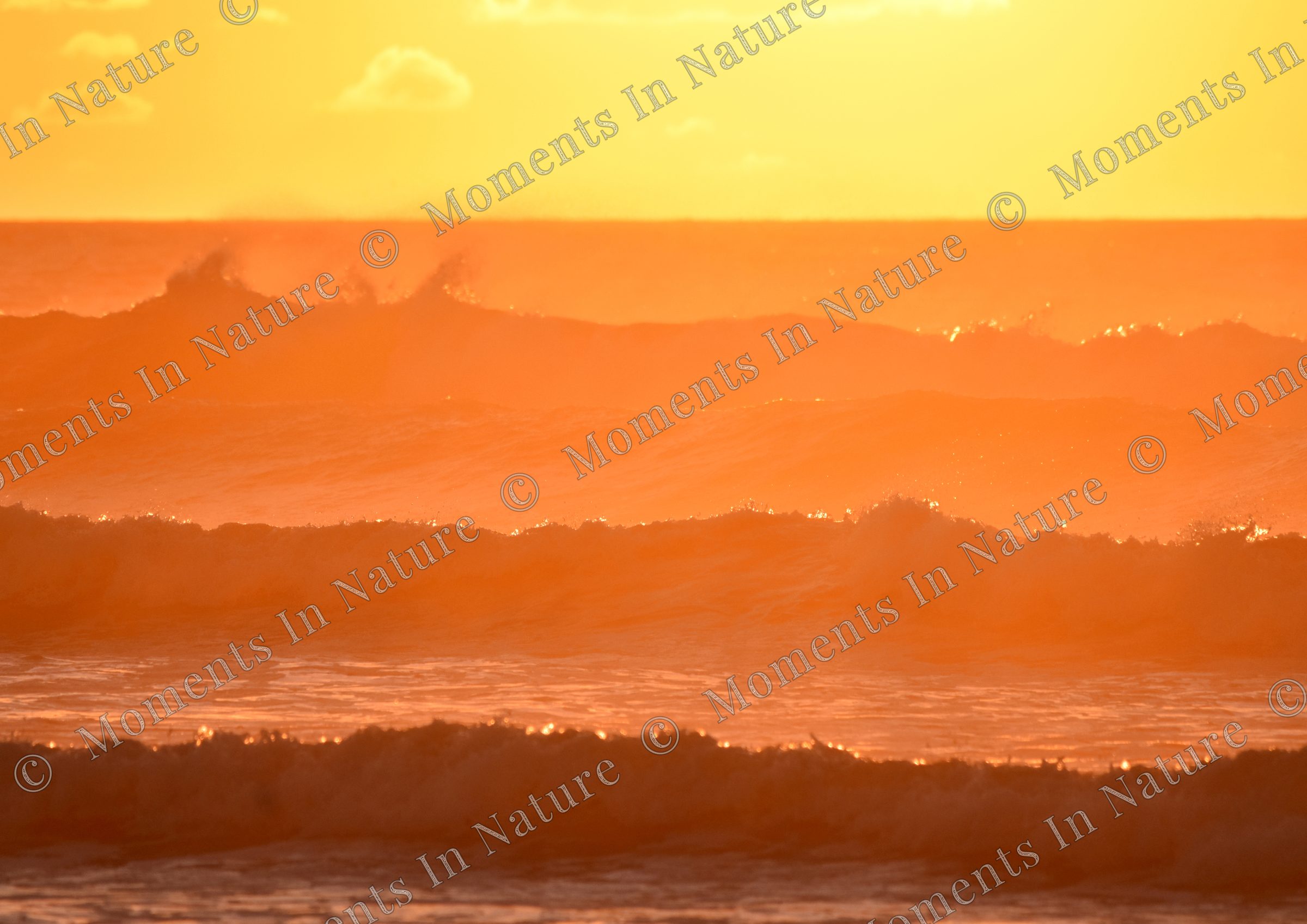 Shades of Sunset