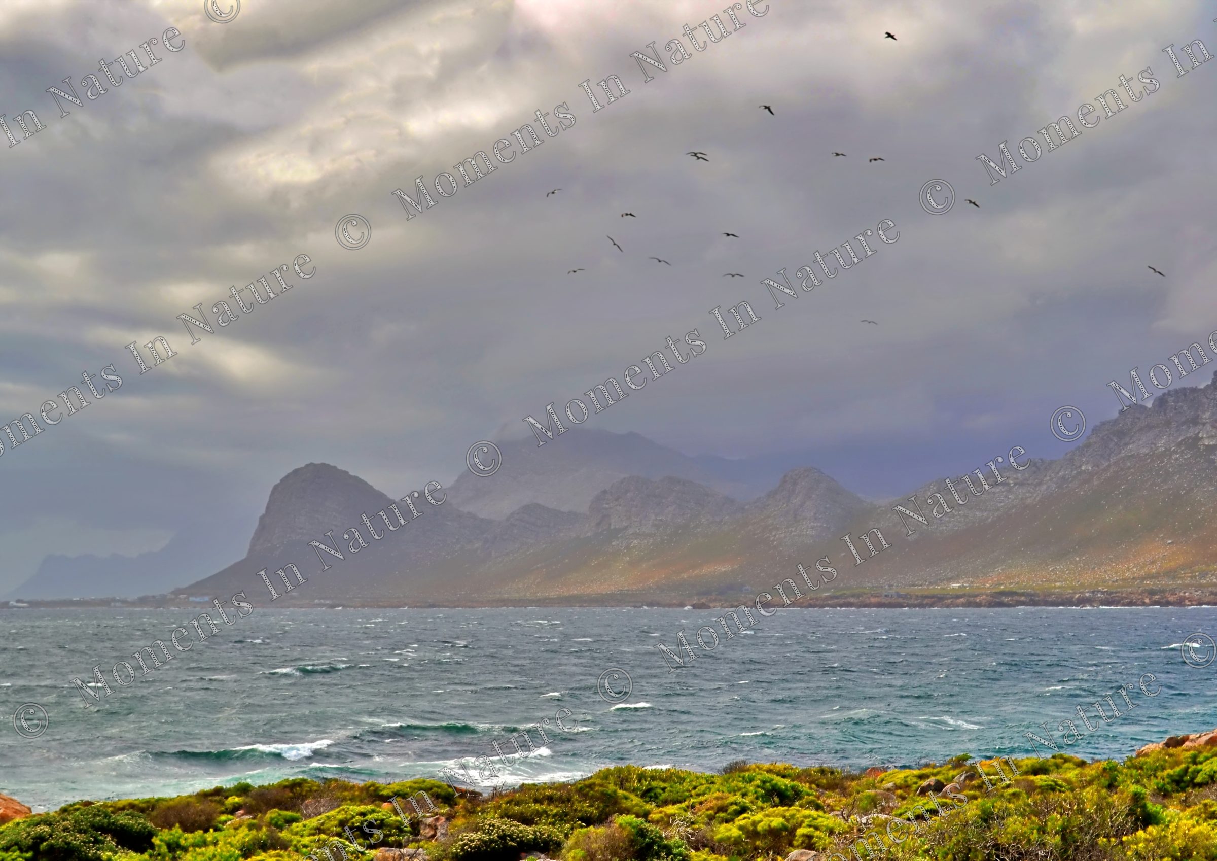 Cloudy Skies